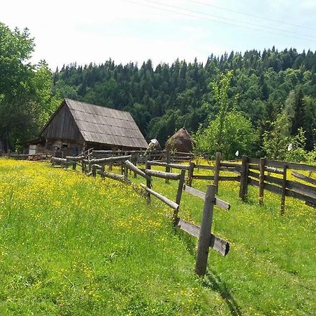 Pensiunea Miesca Matisesti Luaran gambar