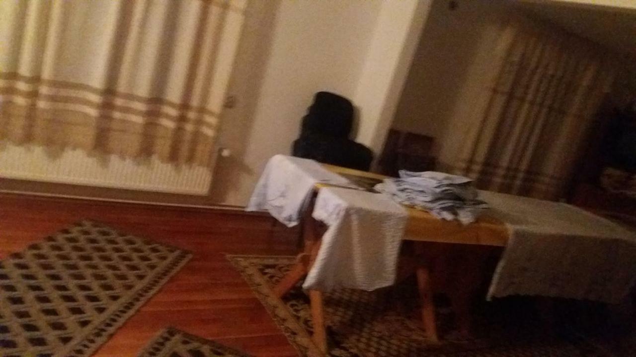 Pensiunea Miesca Matisesti Luaran gambar